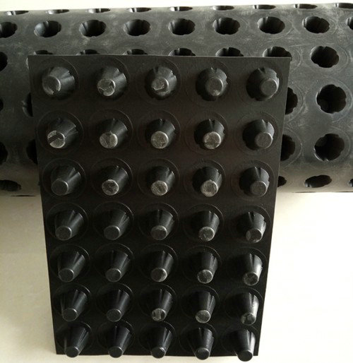 潍坊塑料排水板